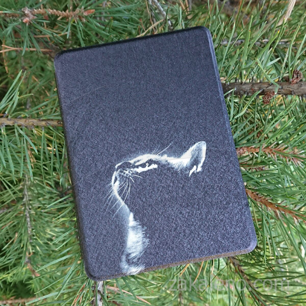 Кожен калъф за Kindle Colorsoft – Самотна котка
